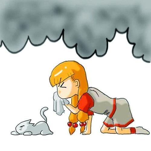 发生火灾的信,揭秘火灾现场背后的真相