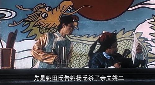 审死官翻案,揭开历史迷雾，探寻真相的曲折历程