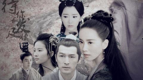 妻子的反击（消失的爱人）